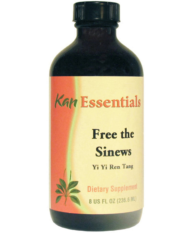 Free the Sinews (Yi Yi Ren Tang)