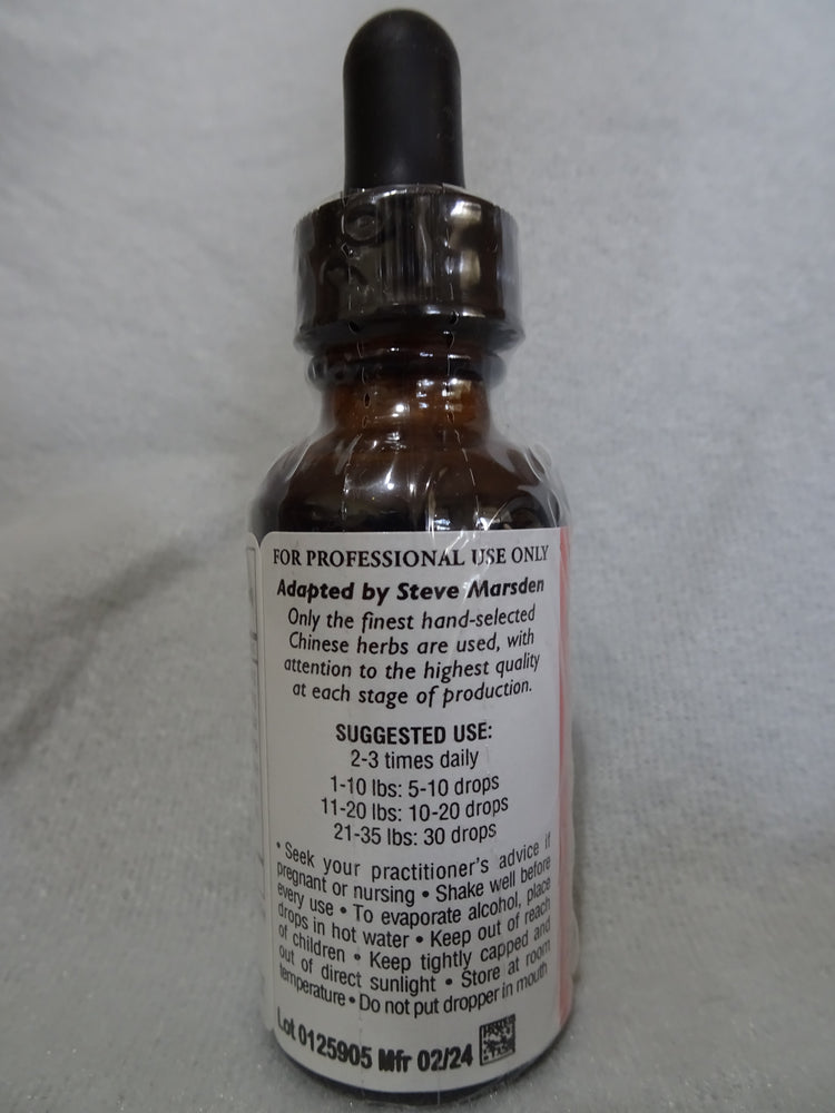 Blood's Palace (Xue Fu Zhu Yu Tang)