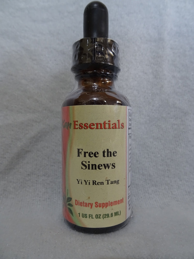 Free the Sinews (Yi Yi Ren Tang)