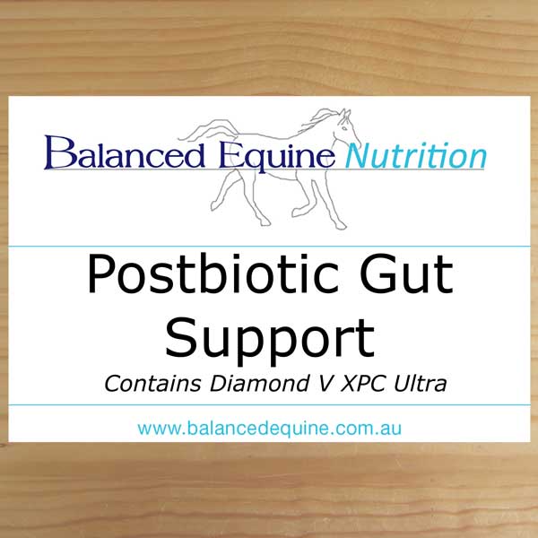 Postbiotic Gut Support