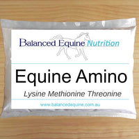 Equine Amino