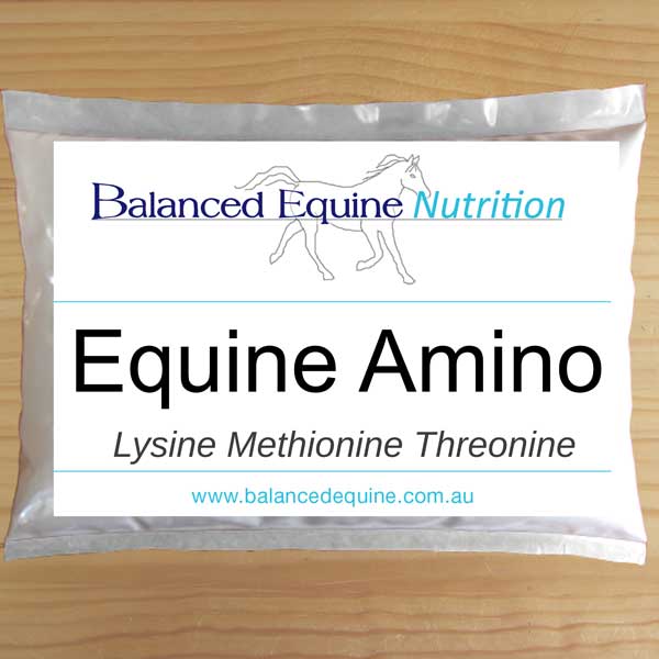 Equine Amino