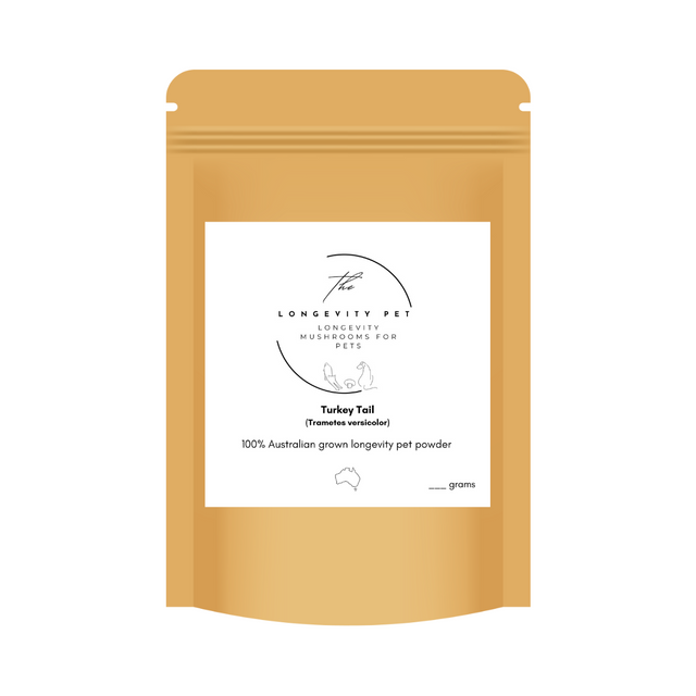 Turkey Tail Mushroom Powder