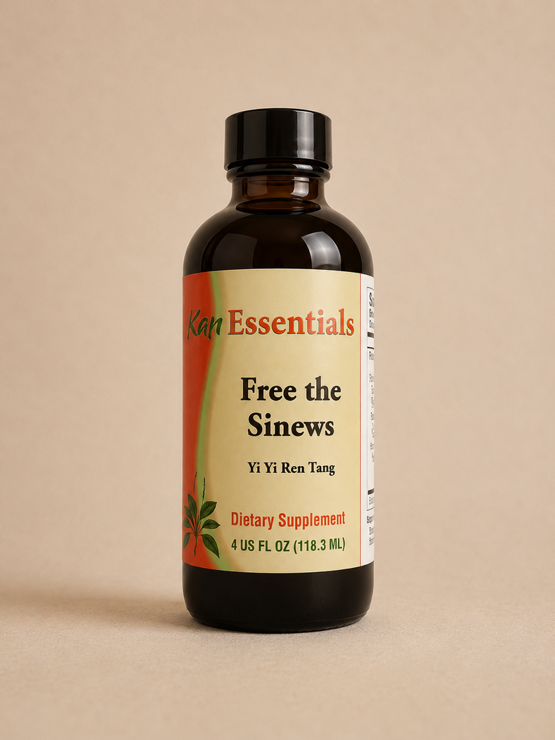 Free the Sinews (Yi Yi Ren Tang)